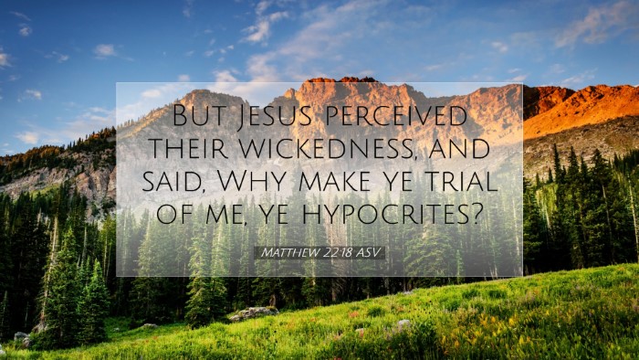 Picture 07 - Matthew 22:18 ASV Desktop Wallpaper - But Jesus perceived their wickedness, and said, - Desktop Bible Verse Wallpaper