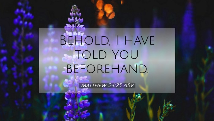 Picture 07 - Matthew 24:25 ASV Desktop Wallpaper - Behold, I have told you - Desktop Bible Verse Wallpaper