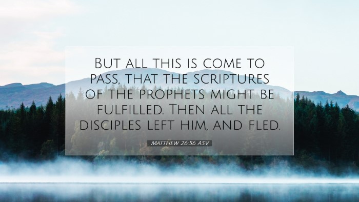 Picture 07 - Matthew 26:56 ASV Desktop Wallpaper - But all this is come to pass, that the scriptures - Desktop Bible Verse Wallpaper