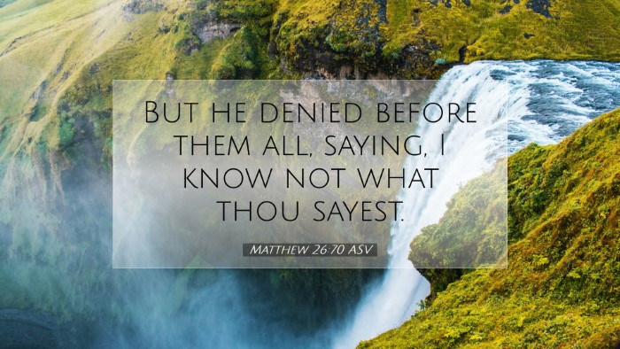 Picture 07 - Matthew 26:70 ASV Desktop Wallpaper - But he denied before them all, saying, I know not - Desktop Bible Verse Wallpaper