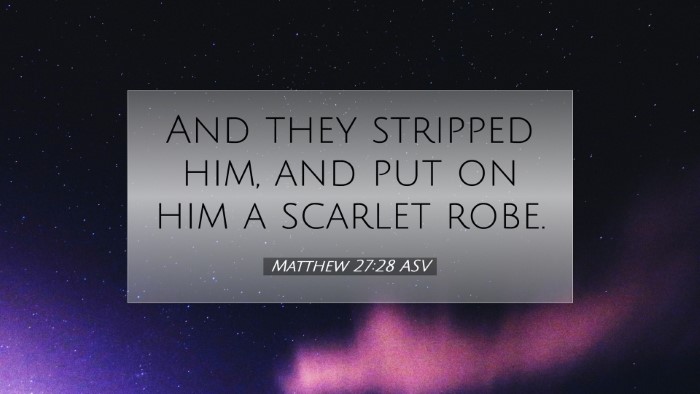 Picture 07 - Matthew 27:28 ASV Desktop Wallpaper - And they stripped him, and put on him a scarlet - Desktop Bible Verse Wallpaper
