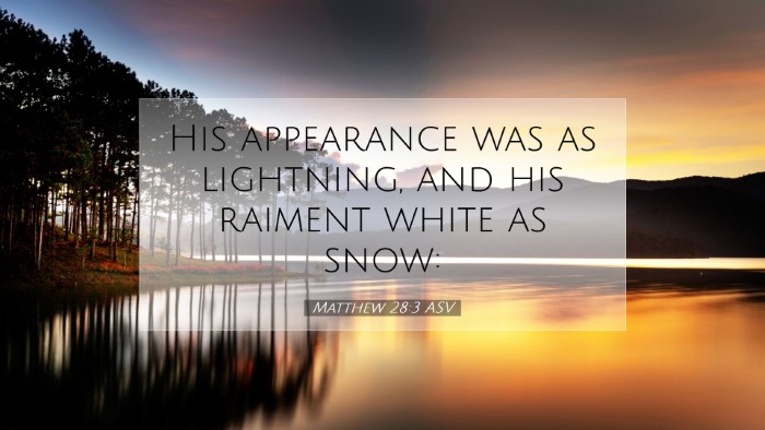 Picture 07 - Matthew 28:3 ASV Desktop Wallpaper - His appearance was as lightning, and his raiment - Desktop Bible Verse Wallpaper