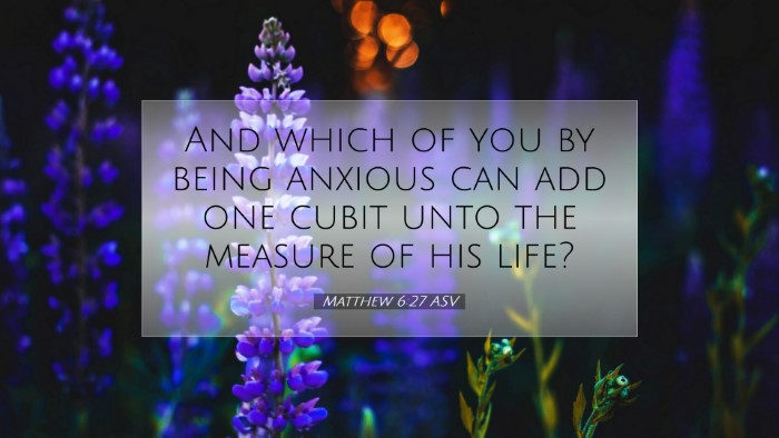 Picture 07 - Matthew 6:27 ASV Desktop Wallpaper - And which of you by being anxious can add one - Desktop Bible Verse Wallpaper