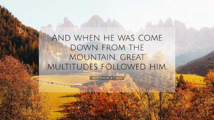 Picture 07 - Matthew 8:1 ASV Desktop Wallpaper - And when he was come down from the mountain, - Desktop Bible Verse Wallpaper