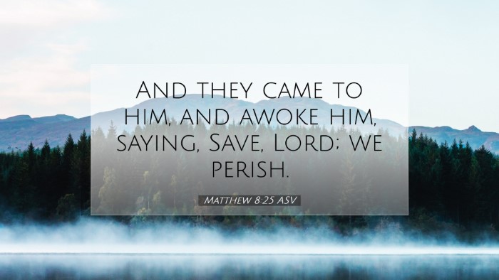 Picture 07 - Matthew 8:25 ASV Desktop Wallpaper - And they came to him, and awoke him, saying, - Desktop Bible Verse Wallpaper