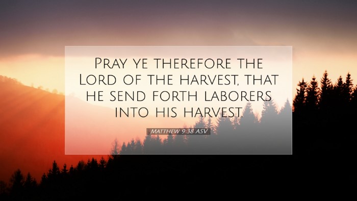Picture 07 - Matthew 9:38 ASV Desktop Wallpaper - Pray ye therefore the Lord of the harvest, that - Desktop Bible Verse Wallpaper