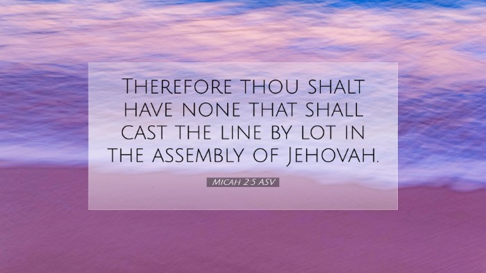 Picture 07 - Micah 2:5 ASV Desktop Wallpaper - Therefore thou shalt have none that shall cast - Desktop Bible Verse Wallpaper