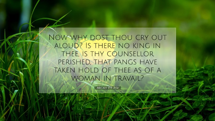 Picture 07 - Micah 4:9 ASV Desktop Wallpaper - Now why dost thou cry out aloud? Is there no king - Desktop Bible Verse Wallpaper