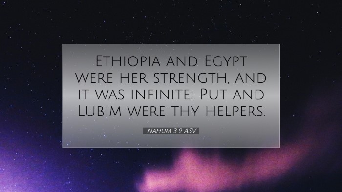 Picture 07 - Nahum 3:9 ASV Desktop Wallpaper - Ethiopia and Egypt were her strength, and it was - Desktop Bible Verse Wallpaper