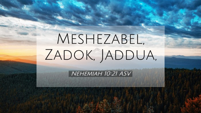 Picture 07 - Nehemiah 10:21 ASV Desktop Wallpaper - Meshezabel, Zadok, - Desktop Bible Verse Wallpaper