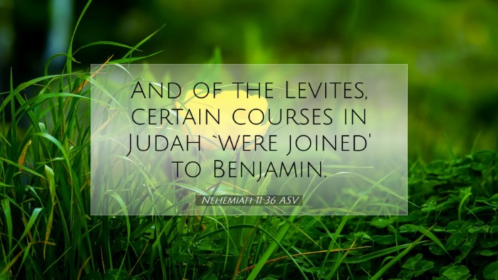 Picture 07 - Nehemiah 11:36 ASV Desktop Wallpaper - And of the Levites, certain courses in Judah - Desktop Bible Verse Wallpaper