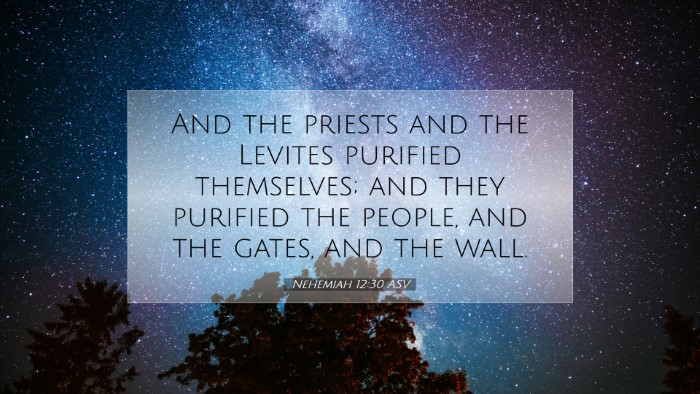 Picture 07 - Nehemiah 12:30 ASV Desktop Wallpaper - And the priests and the Levites purified - Desktop Bible Verse Wallpaper