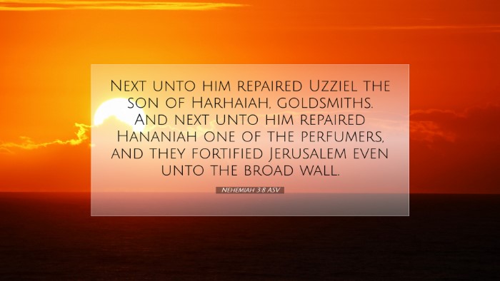 Picture 07 - Nehemiah 3:8 ASV Desktop Wallpaper - Next unto him repaired Uzziel the son of - Desktop Bible Verse Wallpaper