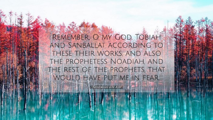 Picture 07 - Nehemiah 6:14 ASV Desktop Wallpaper - Remember, O my God, Tobiah and Sanballat - Desktop Bible Verse Wallpaper