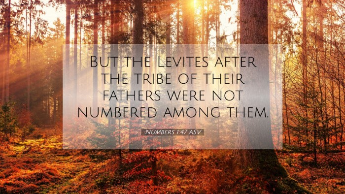 Picture 07 - Numbers 1:47 ASV Desktop Wallpaper - But the Levites after the tribe of their fathers - Desktop Bible Verse Wallpaper