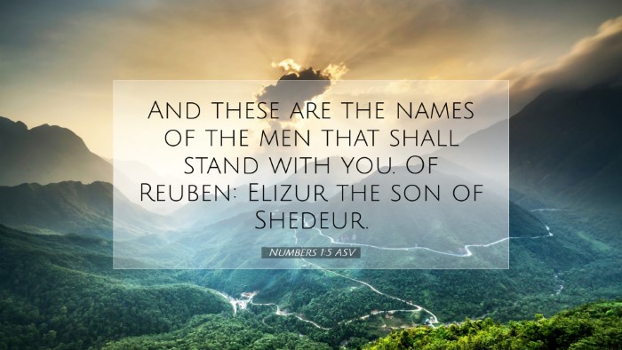 Picture 07 - Numbers 1:5 ASV Desktop Wallpaper - And these are the names of the men that shall - Desktop Bible Verse Wallpaper