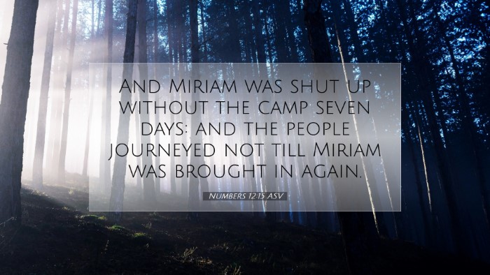 Picture 07 - Numbers 12:15 ASV Desktop Wallpaper - And Miriam was shut up without the camp seven - Desktop Bible Verse Wallpaper