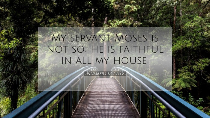 Picture 07 - Numbers 12:7 ASV Desktop Wallpaper - My servant Moses is not so; he is faithful in all - Desktop Bible Verse Wallpaper