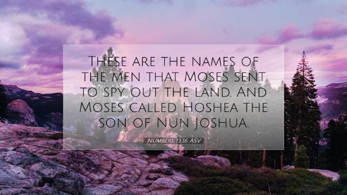 Picture 07 - Numbers 13:16 ASV Desktop Wallpaper - These are the names of the men that Moses sent to - Desktop Bible Verse Wallpaper