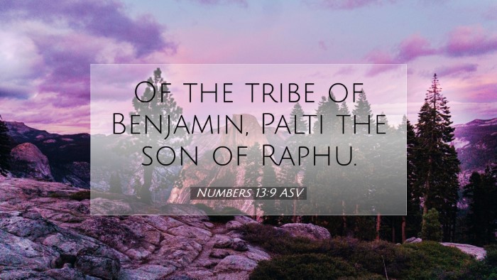Picture 07 - Numbers 13:9 ASV Desktop Wallpaper - Of the tribe of Benjamin, Palti the son of - Desktop Bible Verse Wallpaper