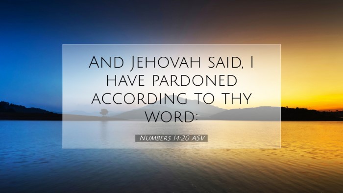 Picture 07 - Numbers 14:20 ASV Desktop Wallpaper - And Jehovah said, I have pardoned according to - Desktop Bible Verse Wallpaper