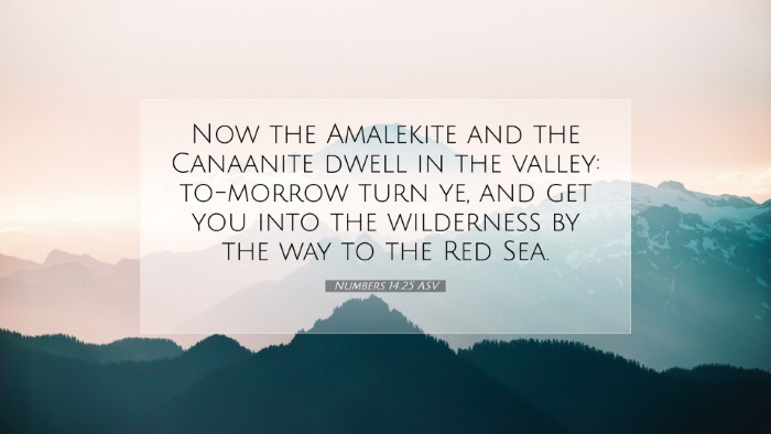 Picture 07 - Numbers 14:25 ASV Desktop Wallpaper - Now the Amalekite and the Canaanite dwell in the - Desktop Bible Verse Wallpaper