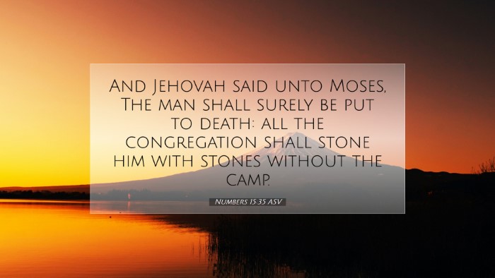 Picture 07 - Numbers 15:35 ASV Desktop Wallpaper - And Jehovah said unto Moses, The man shall surely - Desktop Bible Verse Wallpaper