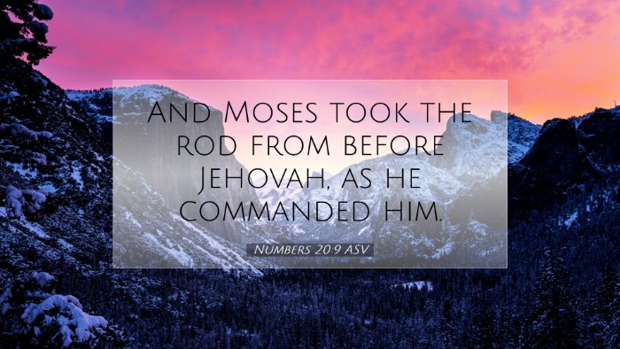 Picture 07 - Numbers 20:9 ASV Desktop Wallpaper - And Moses took the rod from before Jehovah, as he - Desktop Bible Verse Wallpaper