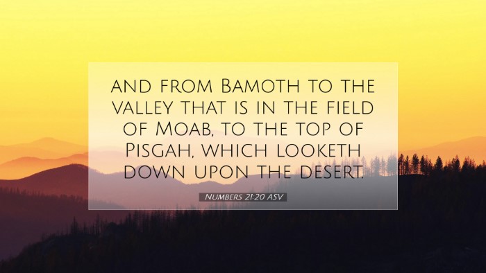Picture 07 - Numbers 21:20 ASV Desktop Wallpaper - and from Bamoth to the valley that is in the - Desktop Bible Verse Wallpaper