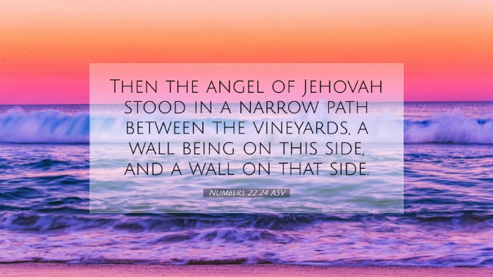 Picture 07 - Numbers 22:24 ASV Desktop Wallpaper - Then the angel of Jehovah stood in a narrow path - Desktop Bible Verse Wallpaper