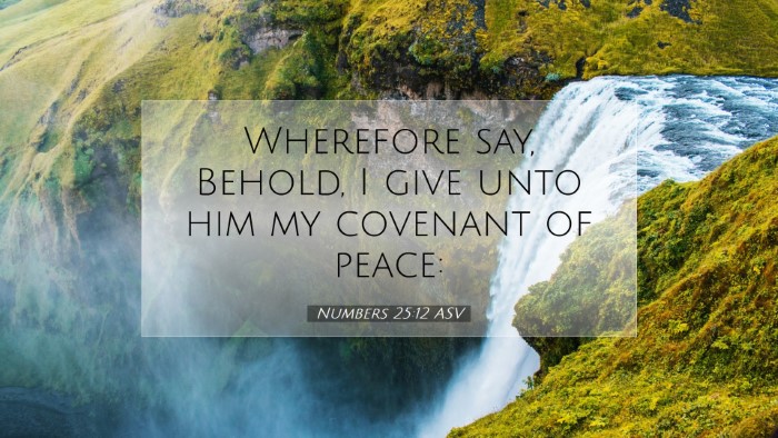 Picture 07 - Numbers 25:12 ASV Desktop Wallpaper - Wherefore say, Behold, I give unto him my - Desktop Bible Verse Wallpaper