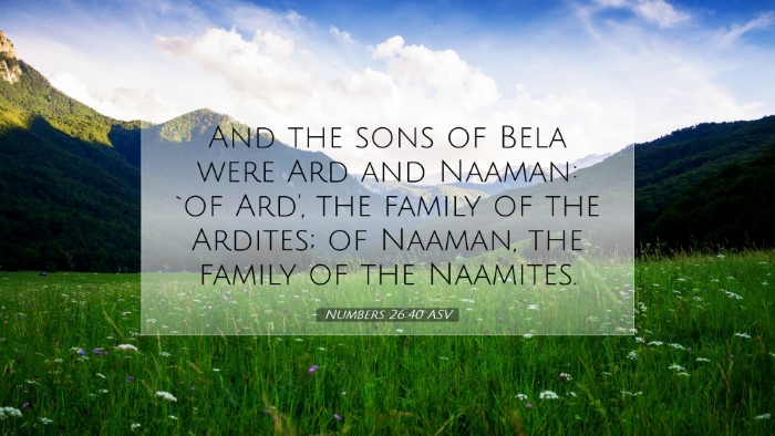 Picture 07 - Numbers 26:40 ASV Desktop Wallpaper - And the sons of Bela were Ard and Naaman: `of - Desktop Bible Verse Wallpaper