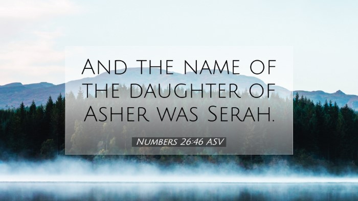 Picture 07 - Numbers 26:46 ASV Desktop Wallpaper - And the name of the daughter of Asher was - Desktop Bible Verse Wallpaper