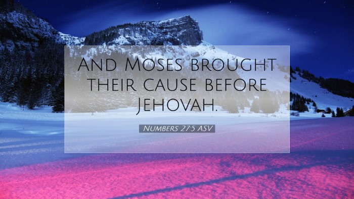 Picture 07 - Numbers 27:5 ASV Desktop Wallpaper - And Moses brought their cause before - Desktop Bible Verse Wallpaper