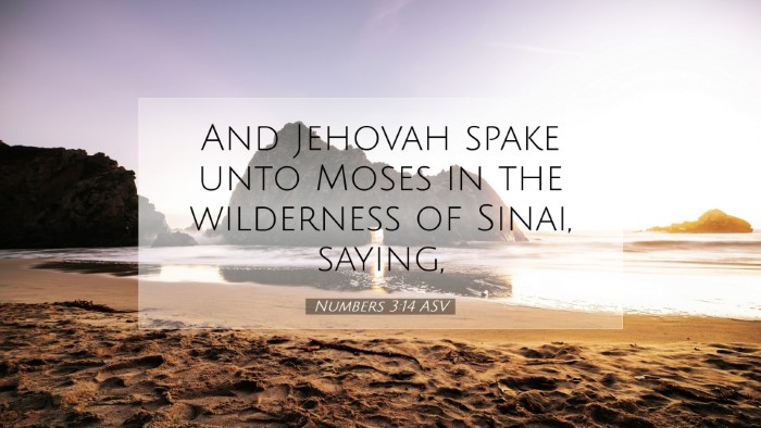 Picture 07 - Numbers 3:14 ASV Desktop Wallpaper - And Jehovah spake unto Moses in the wilderness of - Desktop Bible Verse Wallpaper