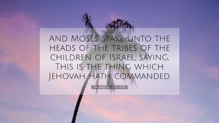 Picture 07 - Numbers 30:1 ASV Desktop Wallpaper - And Moses spake unto the heads of the tribes of - Desktop Bible Verse Wallpaper