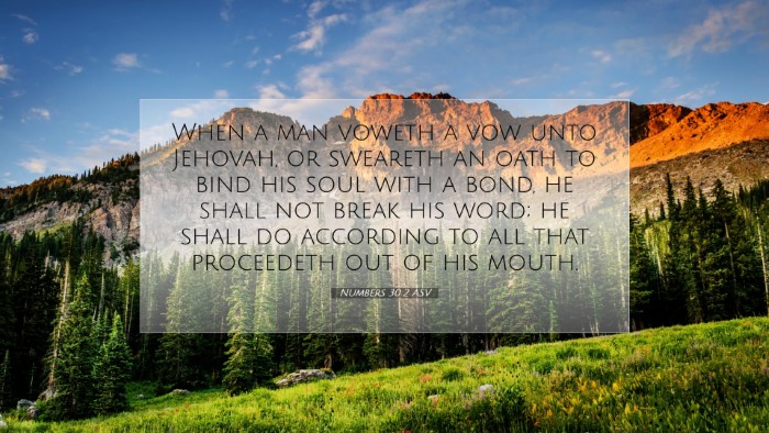 Picture 07 - Numbers 30:2 ASV Desktop Wallpaper - When a man voweth a vow unto Jehovah, or sweareth - Desktop Bible Verse Wallpaper