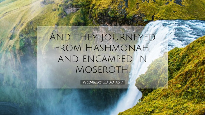 Picture 07 - Numbers 33:30 ASV Desktop Wallpaper - And they journeyed from Hashmonah, and encamped - Desktop Bible Verse Wallpaper