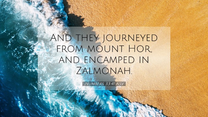 Picture 07 - Numbers 33:41 ASV Desktop Wallpaper - And they journeyed from mount Hor, and encamped - Desktop Bible Verse Wallpaper