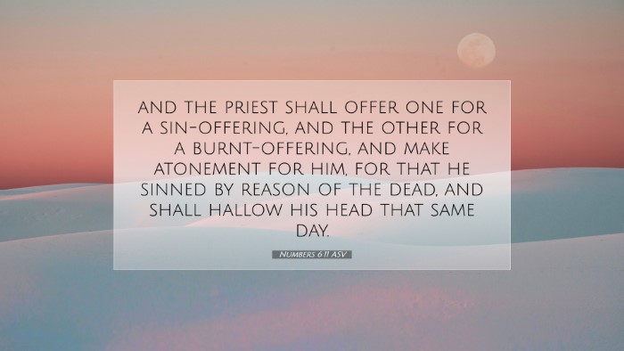 Picture 07 - Numbers 6:11 ASV Desktop Wallpaper - and the priest shall offer one for a - Desktop Bible Verse Wallpaper