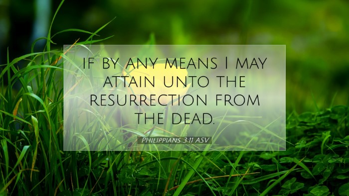 Picture 07 - Philippians 3:11 ASV Desktop Wallpaper - if by any means I may attain unto the - Desktop Bible Verse Wallpaper