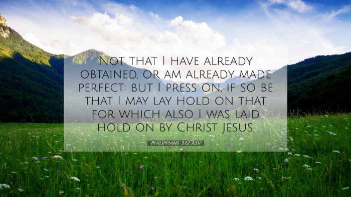 Picture 07 - Philippians 3:12 ASV Desktop Wallpaper - Not that I have already obtained, or am already - Desktop Bible Verse Wallpaper