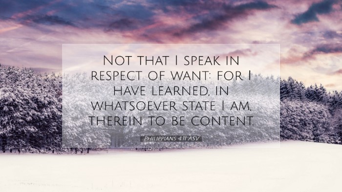 Picture 07 - Philippians 4:11 ASV Desktop Wallpaper - Not that I speak in respect of want: for I have - Desktop Bible Verse Wallpaper