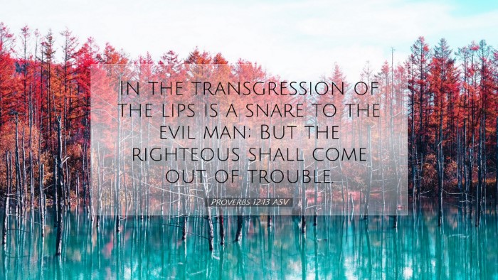 Picture 07 - Proverbs 12:13 ASV Desktop Wallpaper - In the transgression of the lips is a snare to - Desktop Bible Verse Wallpaper