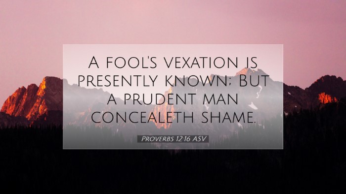 Picture 07 - Proverbs 12:16 ASV Desktop Wallpaper - A fool's vexation is presently known; But a - Desktop Bible Verse Wallpaper
