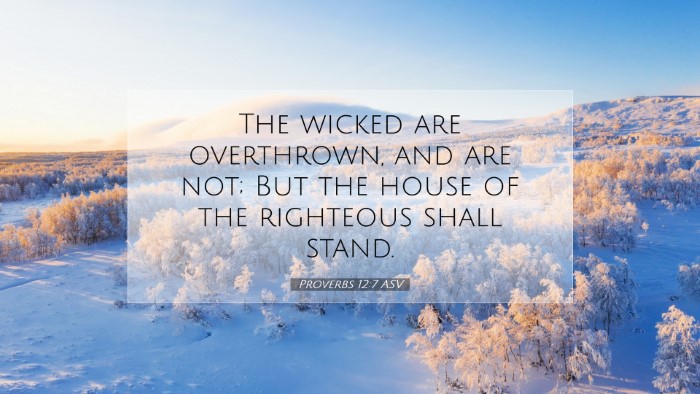 Picture 07 - Proverbs 12:7 ASV Desktop Wallpaper - The wicked are overthrown, and are not; But the - Desktop Bible Verse Wallpaper