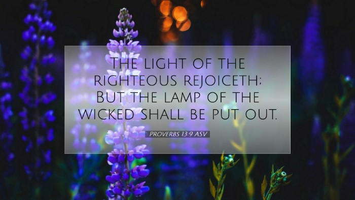 Picture 07 - Proverbs 13:9 ASV Desktop Wallpaper - The light of the righteous rejoiceth; But the - Desktop Bible Verse Wallpaper