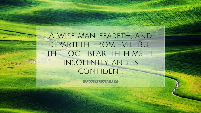 Picture 07 - Proverbs 14:16 ASV Desktop Wallpaper - A wise man feareth, and departeth from evil; But - Desktop Bible Verse Wallpaper