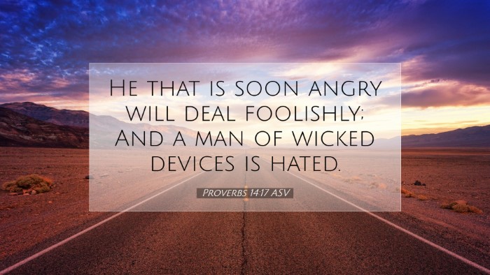 Picture 07 - Proverbs 14:17 ASV Desktop Wallpaper - He that is soon angry will deal foolishly; And a - Desktop Bible Verse Wallpaper