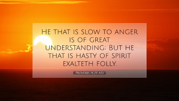 Picture 07 - Proverbs 14:29 ASV Desktop Wallpaper - He that is slow to anger is of great - Desktop Bible Verse Wallpaper